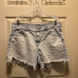 American Eagle Denim Shorts